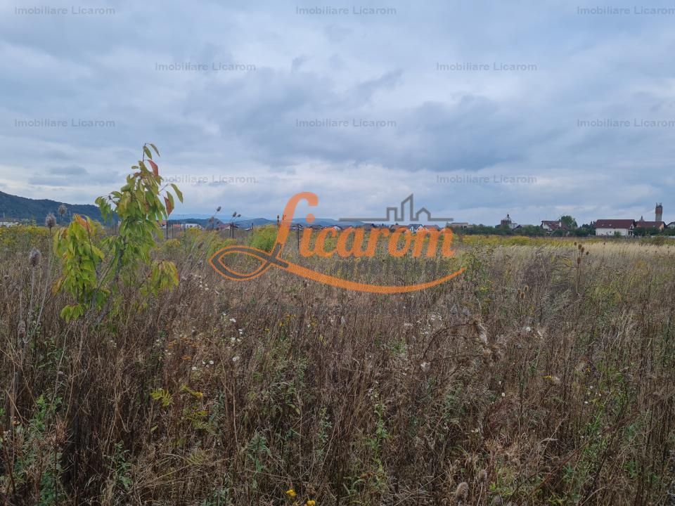 De vanzare teren  502 mp Harman Aleea 14 pret 40000 euro - foto 3