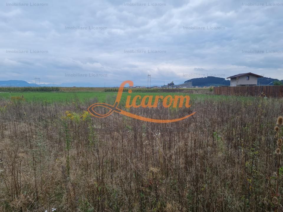 De vanzare teren  502 mp Harman Aleea 14 pret 40000 euro - foto 4