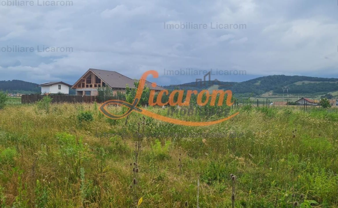 De vanzare teren  502 mp Harman Aleea 14 pret 40000 euro - foto 5