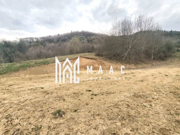 Teren extravilan agricol 1.184 mp | Sibiel | utilități la 100 m - foto 3