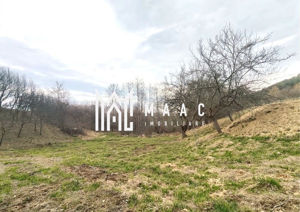 Teren extravilan agricol 1.184 mp | Sibiel | utilități la 100 m - foto 4