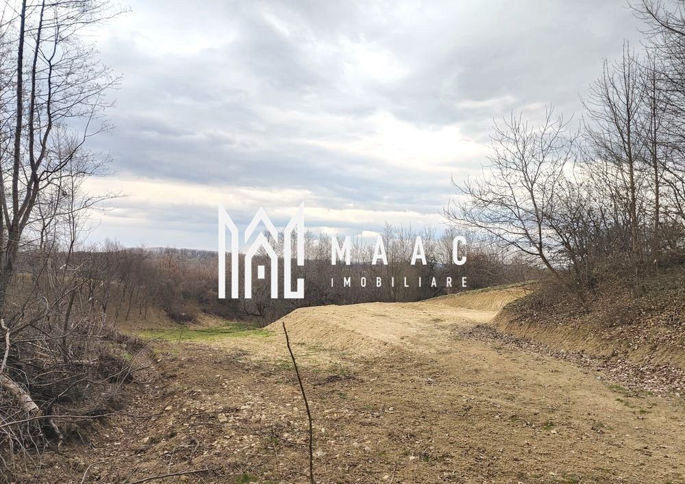 Teren extravilan agricol 1.184 mp | Sibiel | utilități la 100 m - foto 7