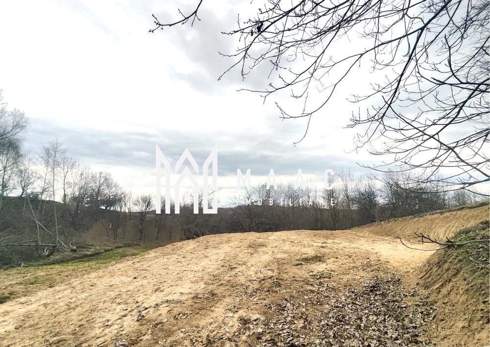 Teren extravilan agricol 1.184 mp | Sibiel | utilități la 100 m - foto 8