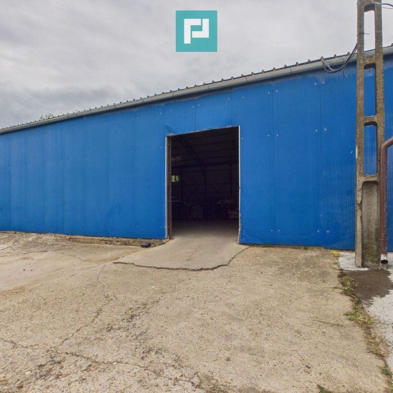 Hală versatila de 240 mp cu cameră frig în Săcălaz - Imagine principala
