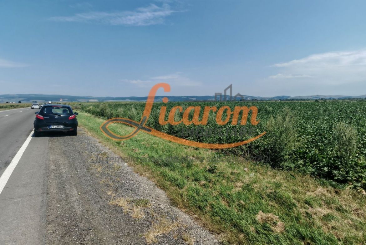 Teren intravilan 3,85 ha,Brasov DN 13 langa MILLE, OLYMPUS, ARKADA - Imagine principala