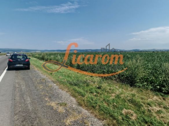 Teren intravilan 3,85 ha,Brasov DN 13 langa MILLE, OLYMPUS, ARKADA - Imagine principala