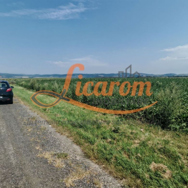 Teren intravilan 3,85 ha,Brasov DN 13 langa MILLE, OLYMPUS, ARKADA - Imagine principala