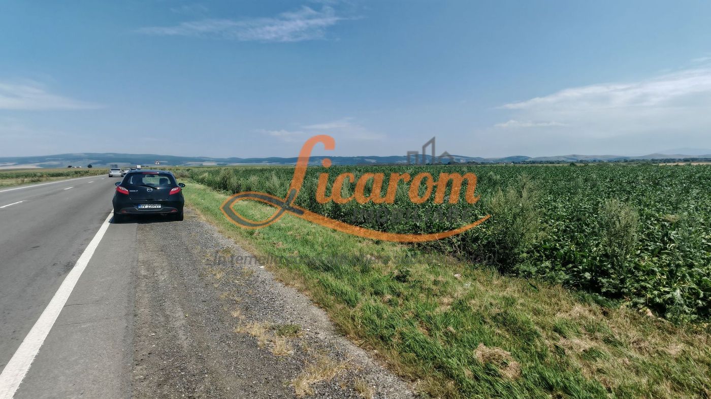 Teren intravilan 3,85 ha,Brasov DN 13 langa MILLE, OLYMPUS, ARKADA - Imagine principala Teren intravilan 3,85 ha,Brasov DN 13 langa MILLE, OLYMPUS, ARKADA - Imagine principala