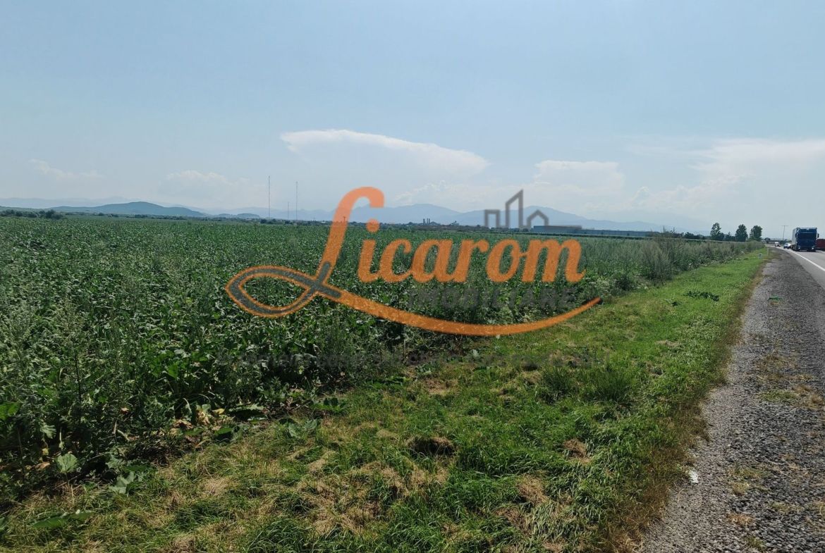 Teren intravilan 3,85 ha,Brasov DN 13 langa MILLE, OLYMPUS, ARKADA - foto 2