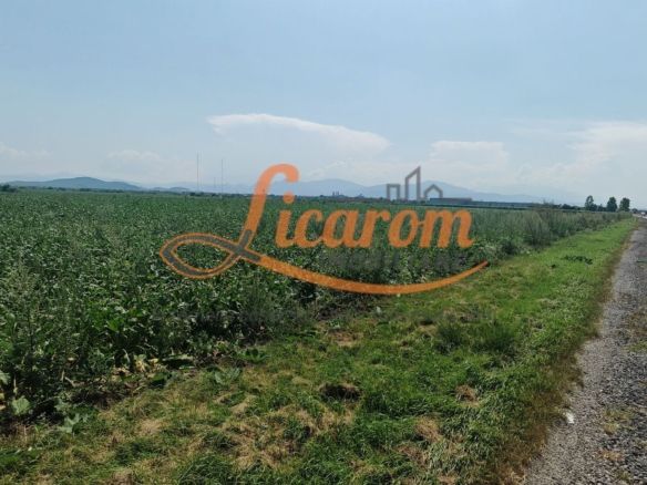 Teren intravilan 3,85 ha,Brasov DN 13 langa MILLE, OLYMPUS, ARKADA - foto 2