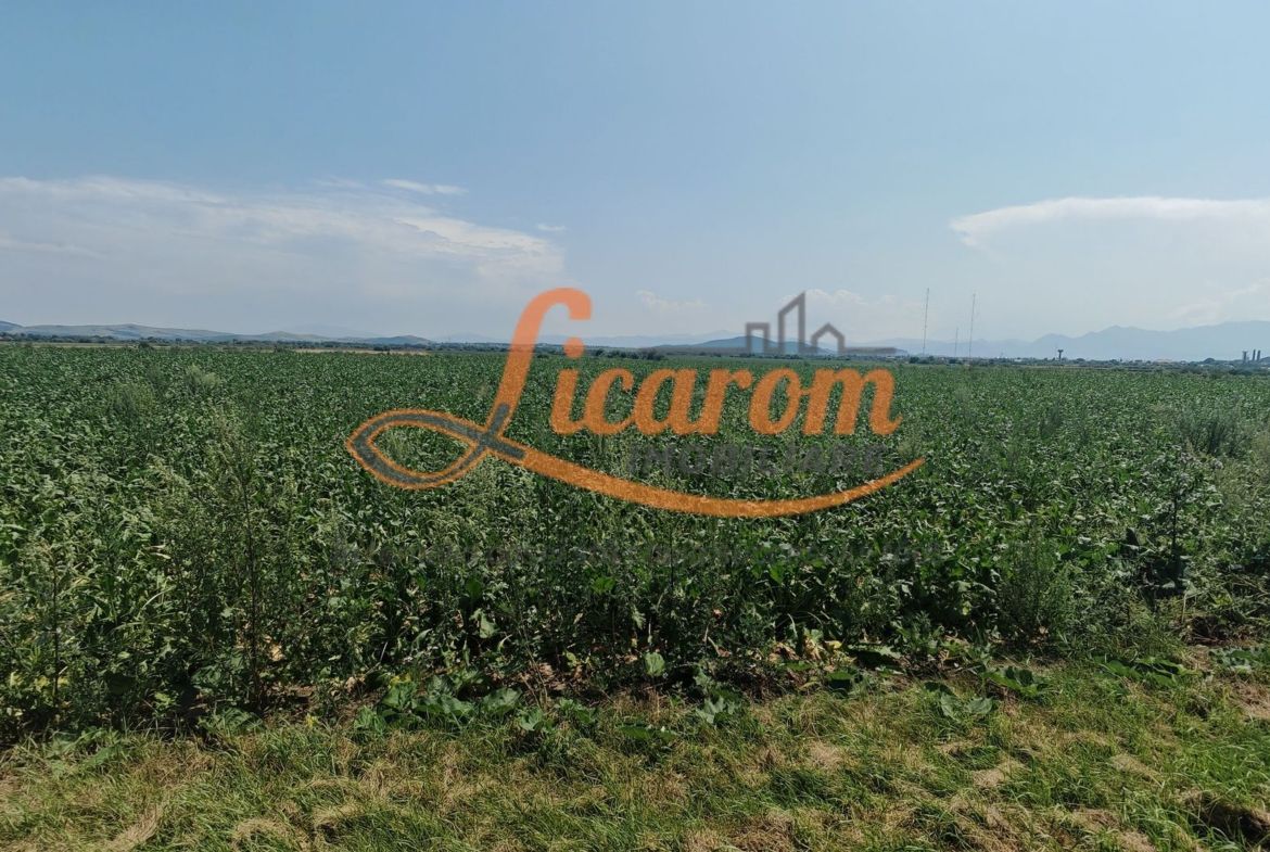 Teren intravilan 3,85 ha,Brasov DN 13 langa MILLE, OLYMPUS, ARKADA - foto 3