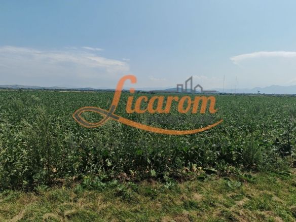 Teren intravilan 3,85 ha,Brasov DN 13 langa MILLE, OLYMPUS, ARKADA - foto 3