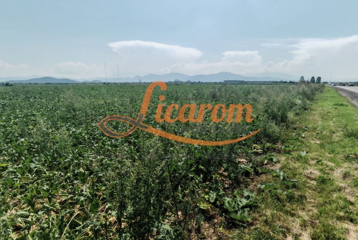 Teren intravilan 3,85 ha,Brasov DN 13 langa MILLE, OLYMPUS, ARKADA - foto 4