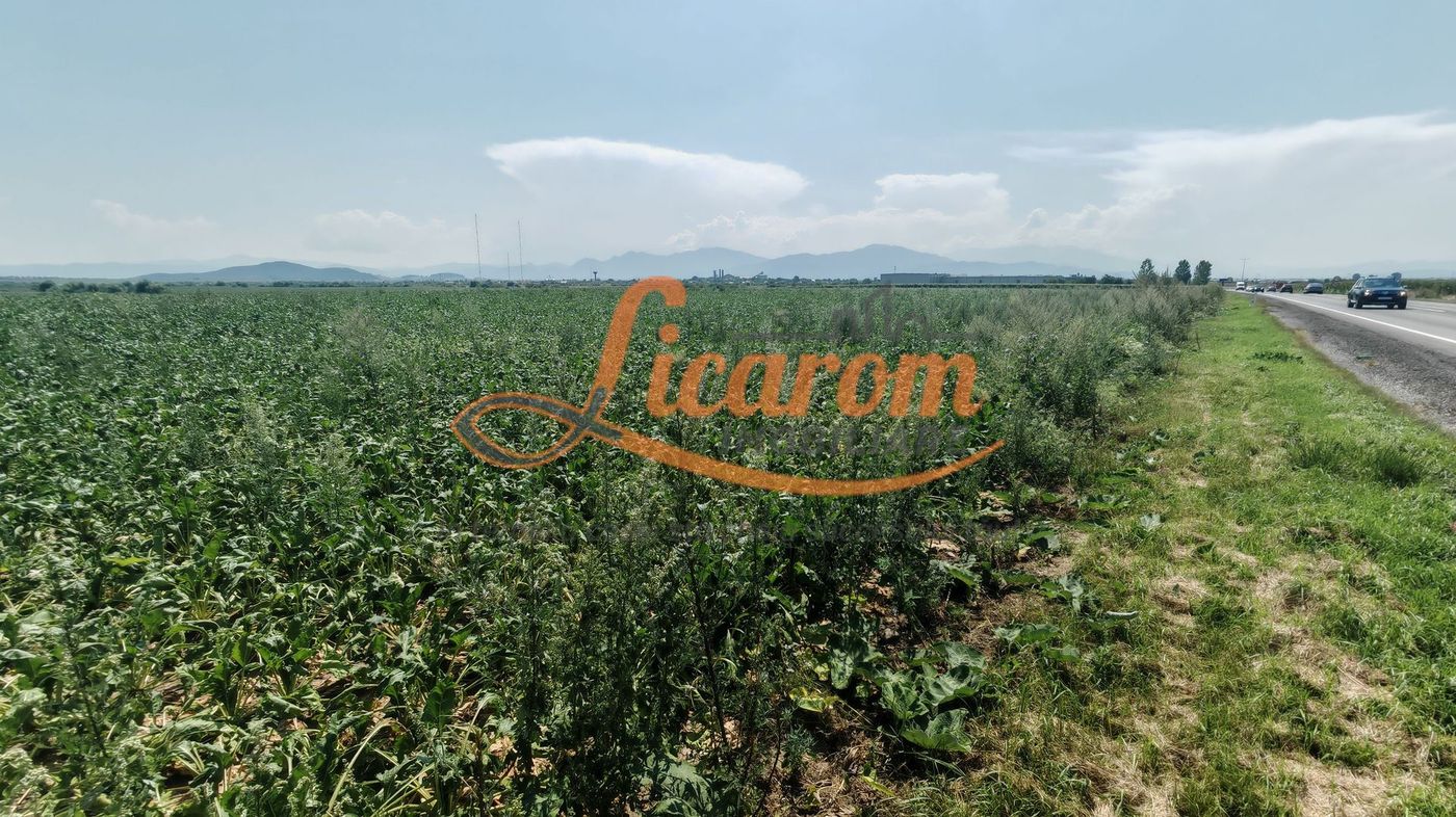 Teren intravilan 3,85 ha,Brasov DN 13 langa MILLE, OLYMPUS, ARKADA - foto 4 Teren intravilan 3,85 ha,Brasov DN 13 langa MILLE, OLYMPUS, ARKADA - foto 4