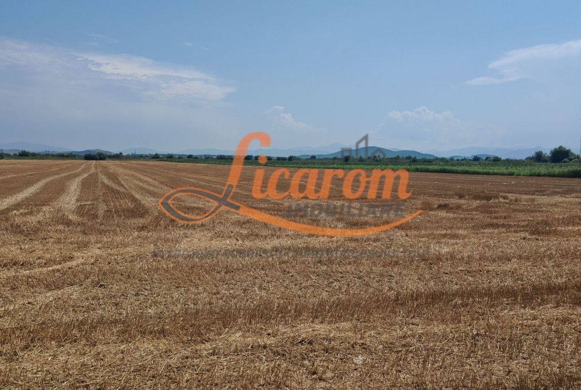 Teren intravilan 3,85 ha,Brasov DN 13 langa MILLE, OLYMPUS, ARKADA - foto 5
