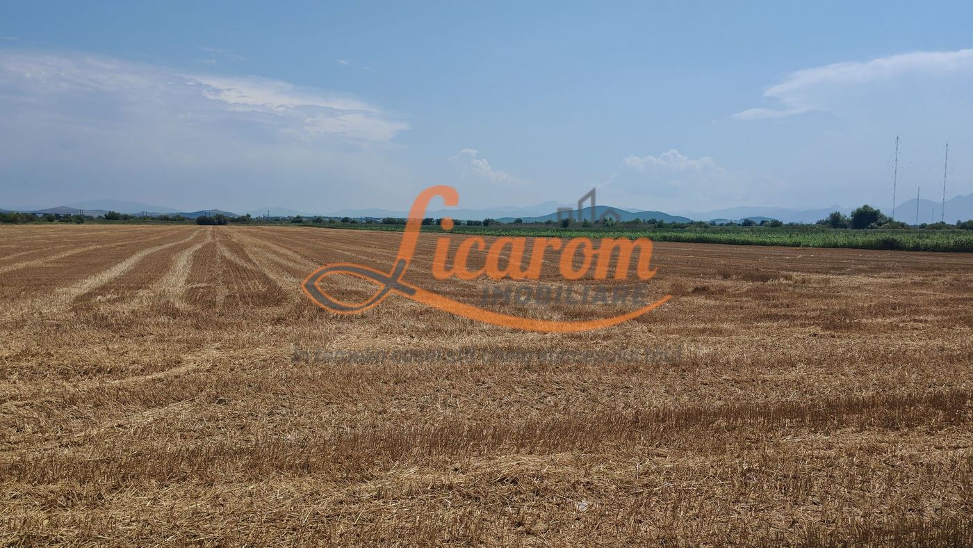 Teren intravilan 3,85 ha,Brasov DN 13 langa MILLE, OLYMPUS, ARKADA - foto 5 Teren intravilan 3,85 ha,Brasov DN 13 langa MILLE, OLYMPUS, ARKADA - foto 5