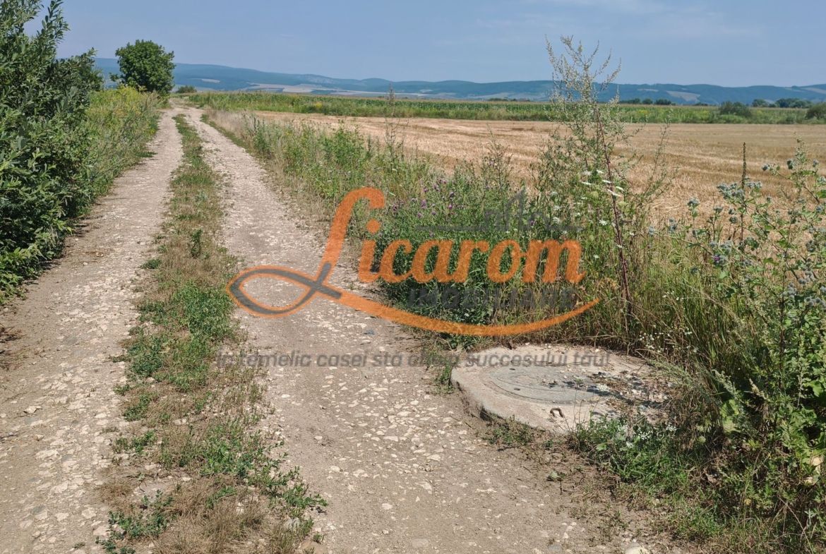 Teren intravilan 3,85 ha,Brasov DN 13 langa MILLE, OLYMPUS, ARKADA - foto 7