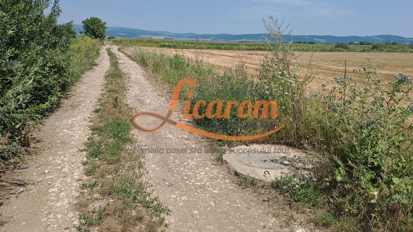 Teren intravilan 3,85 ha,Brasov DN 13 langa MILLE, OLYMPUS, ARKADA - foto 7 Teren intravilan 3,85 ha,Brasov DN 13 langa MILLE, OLYMPUS, ARKADA - foto 7