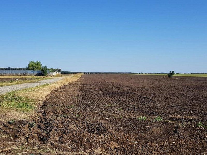 Branesti teren intravilan 30700 mp - foto 6