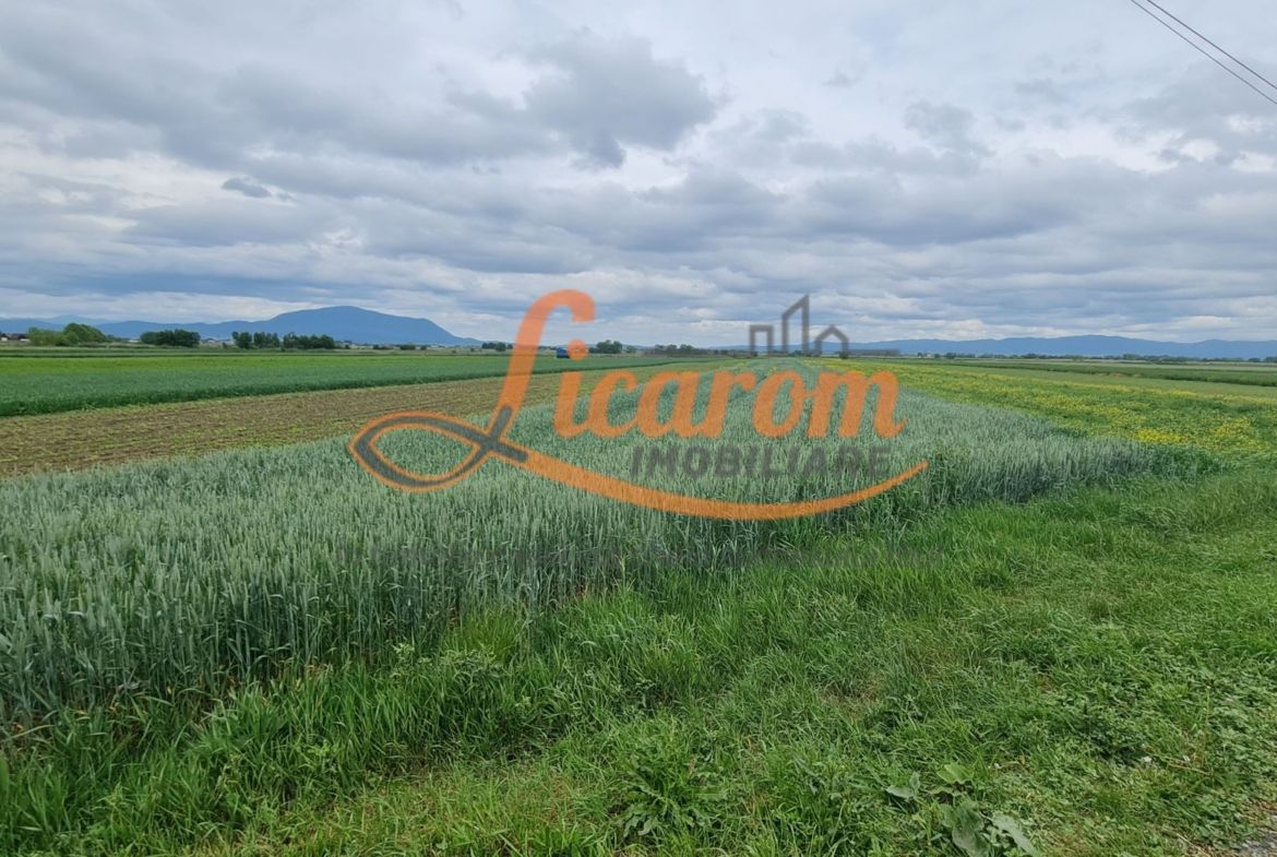 Teren intravilan Stupini front la Calea Feldioarei, DN 13 - foto 2