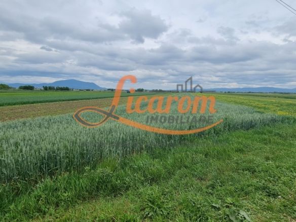 Teren intravilan Stupini front la Calea Feldioarei, DN 13 - foto 2