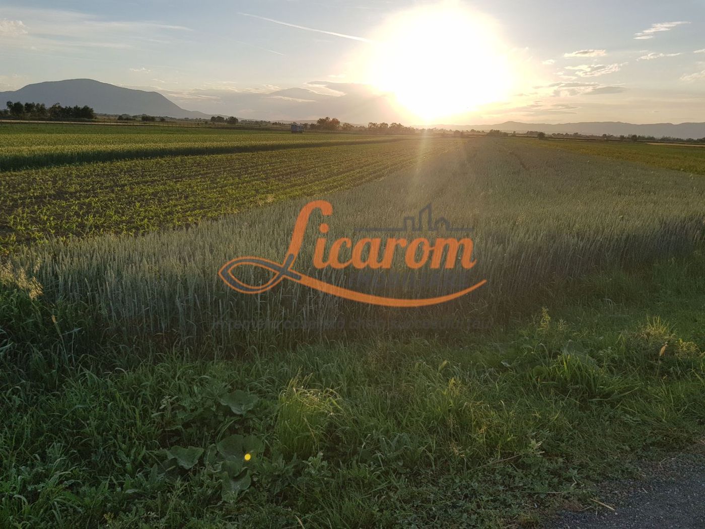 Teren intravilan Stupini front la Calea Feldioarei, DN 13 - foto 4
