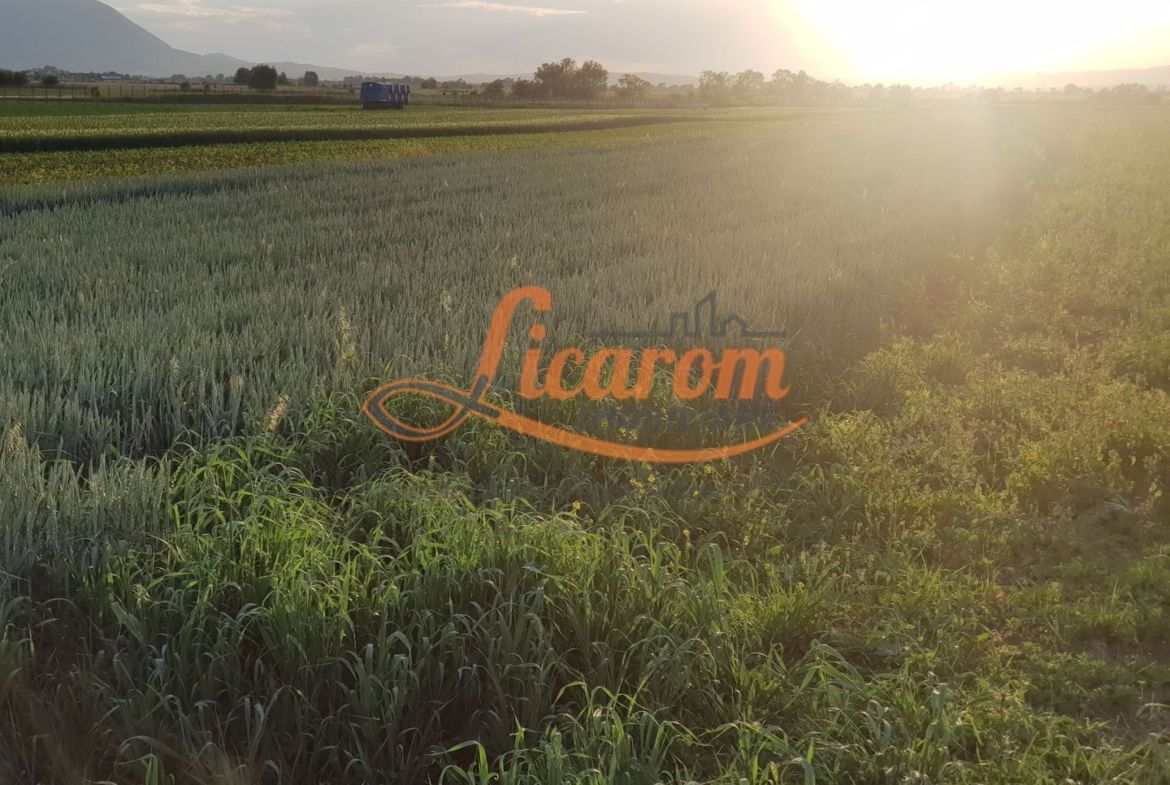 Teren intravilan Stupini front la Calea Feldioarei, DN 13 - foto 5