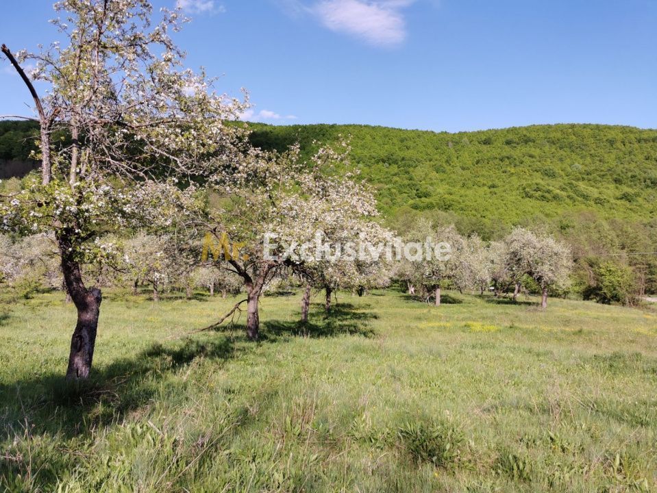 Teren 680mp Budeasa Mica, AG - foto 7