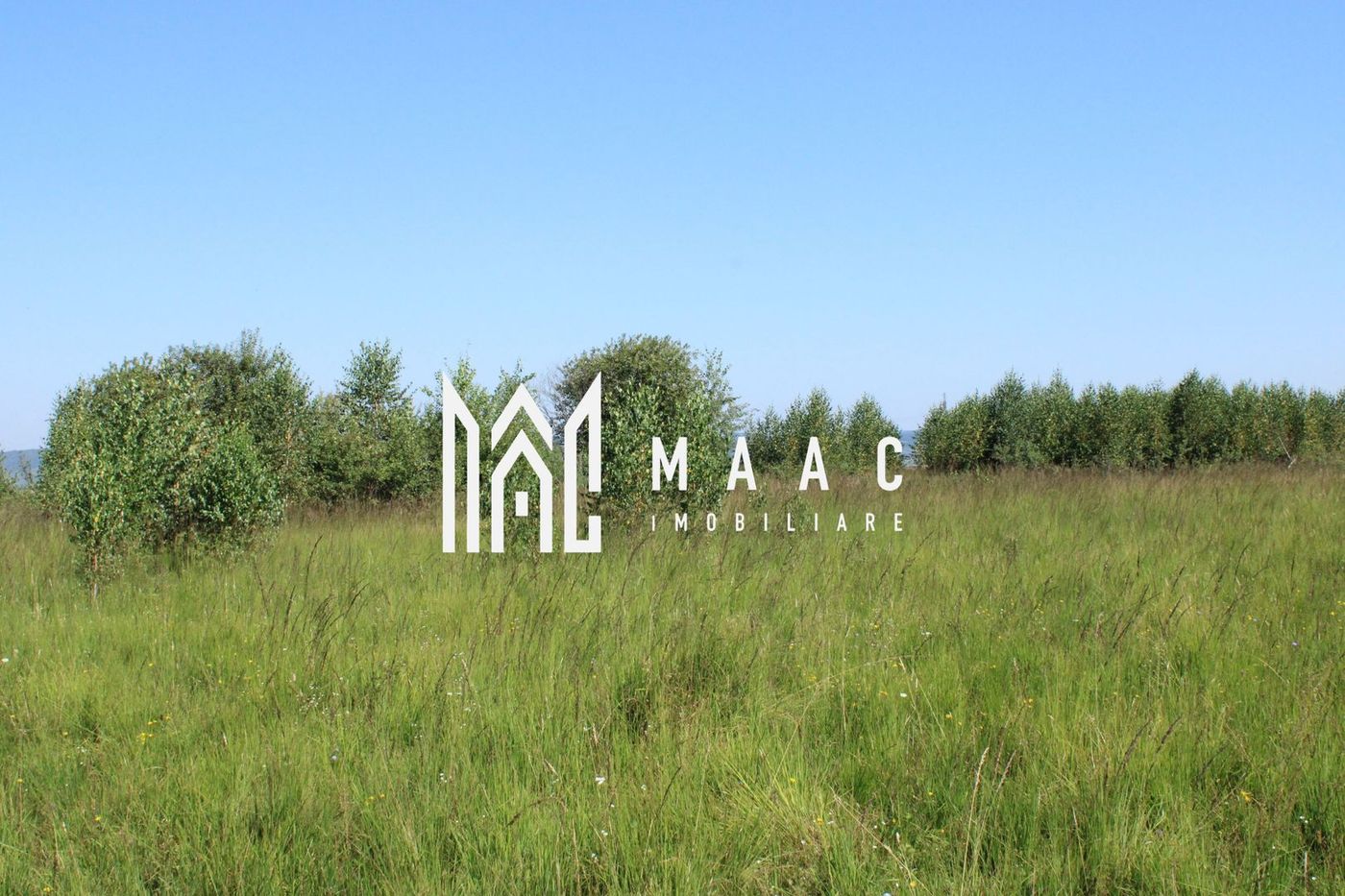 Teren extravilan de vânzare | Arpașu de Sus | 3100 mp - Imagine principala