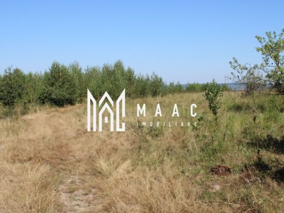 Teren extravilan de vânzare | Arpașu de Sus | 3100 mp - foto 3