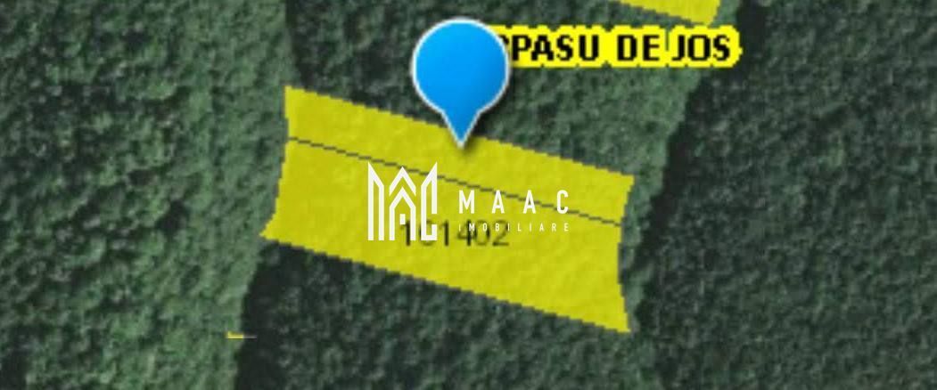 Teren extravilan de vânzare | Arpașu de Sus | 3100 mp - foto 5