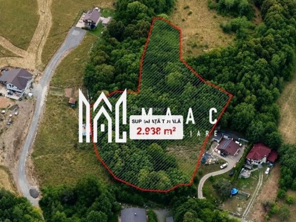 Teren intravilan 2.938 mp | Tocile, Sadu | pârâu natural - Imagine principala