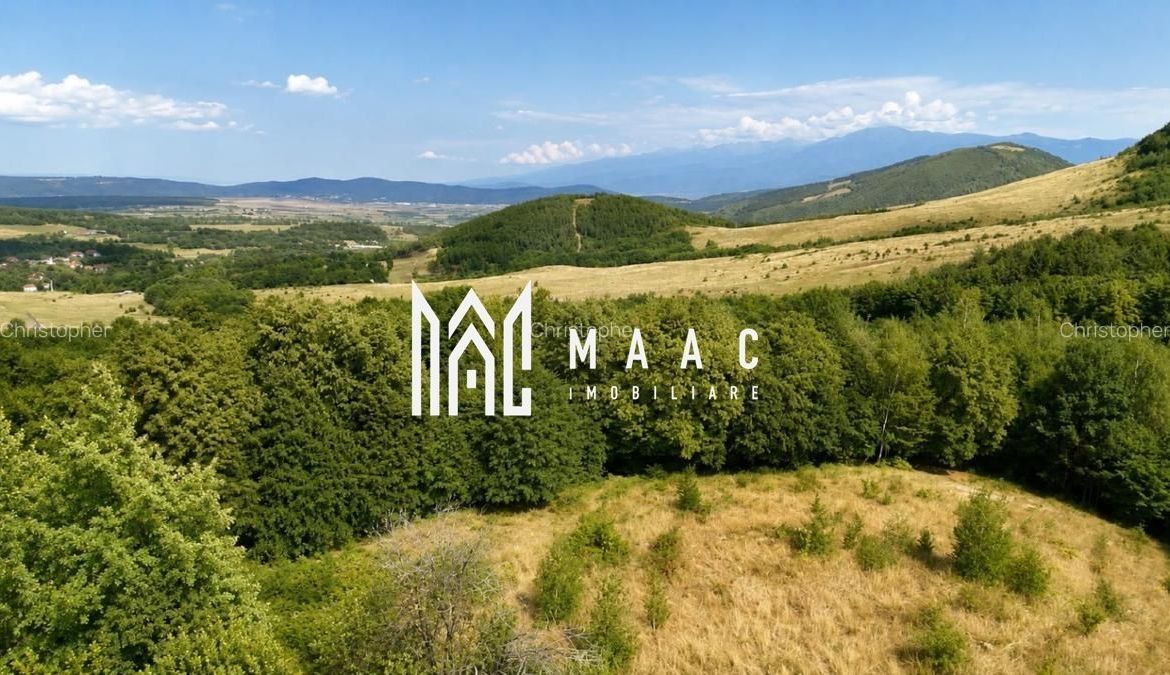Teren intravilan 2.938 mp | Tocile, Sadu | pârâu natural - foto 6