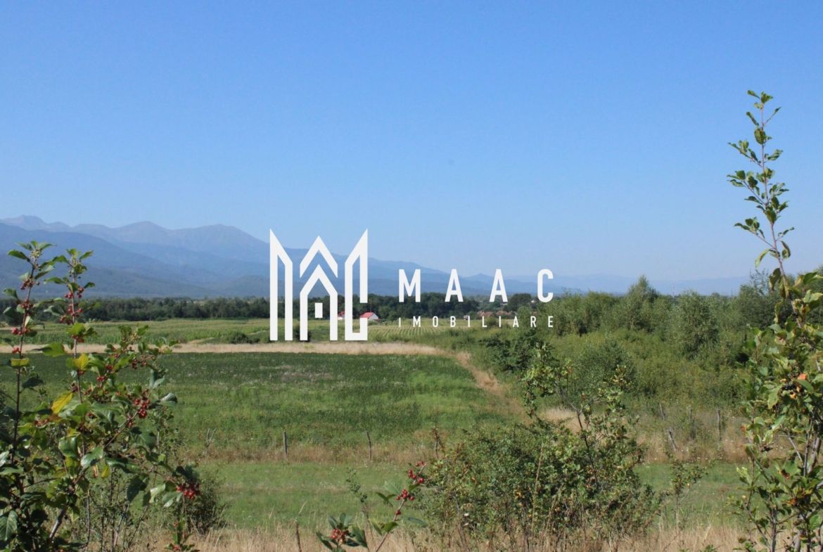 TEREN 4500 MP I PARC FOTOVOLTAIC I ARPASUL DE SUS - foto 5
