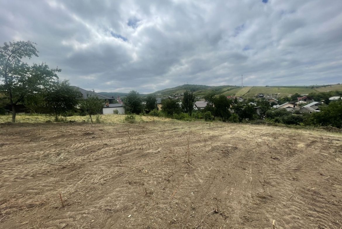 Iasi - Tomesti 3600mp intravilan intre case zona linistita + utilități - foto 3