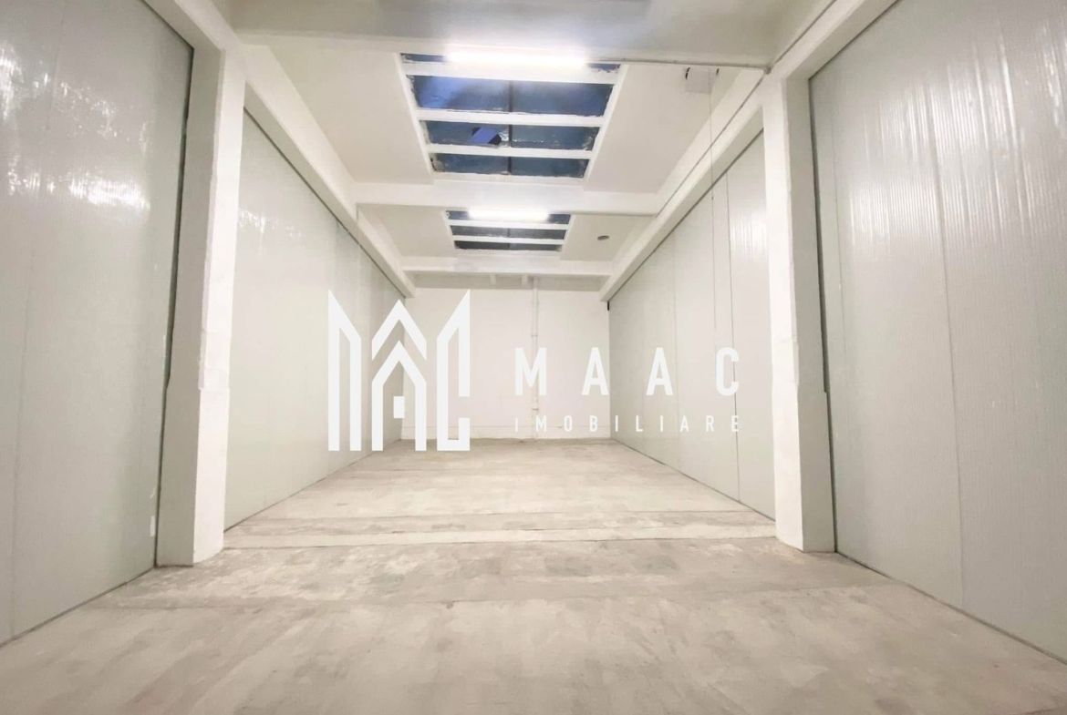 Hală de închiriat | Cisnădie | 120 mp | etaj 1 - foto 3