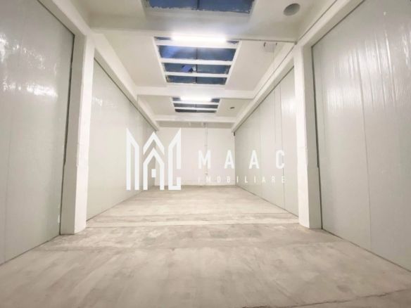 Hală de închiriat | Cisnădie | 120 mp | etaj 1 - foto 3