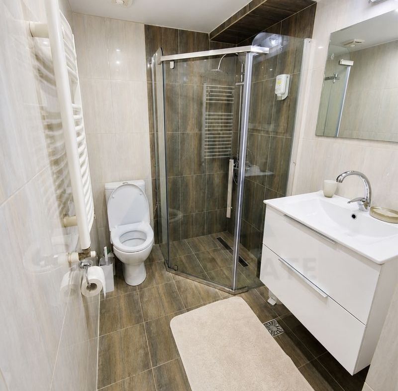 Apartament 2 camere 50 mp utili parter la curte zona Centrul Istoric - foto 5