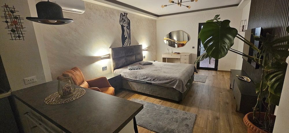 De inchiriat apartament 1 camera Ultimul Leu, etaj 5/7, 400 euro - foto 8