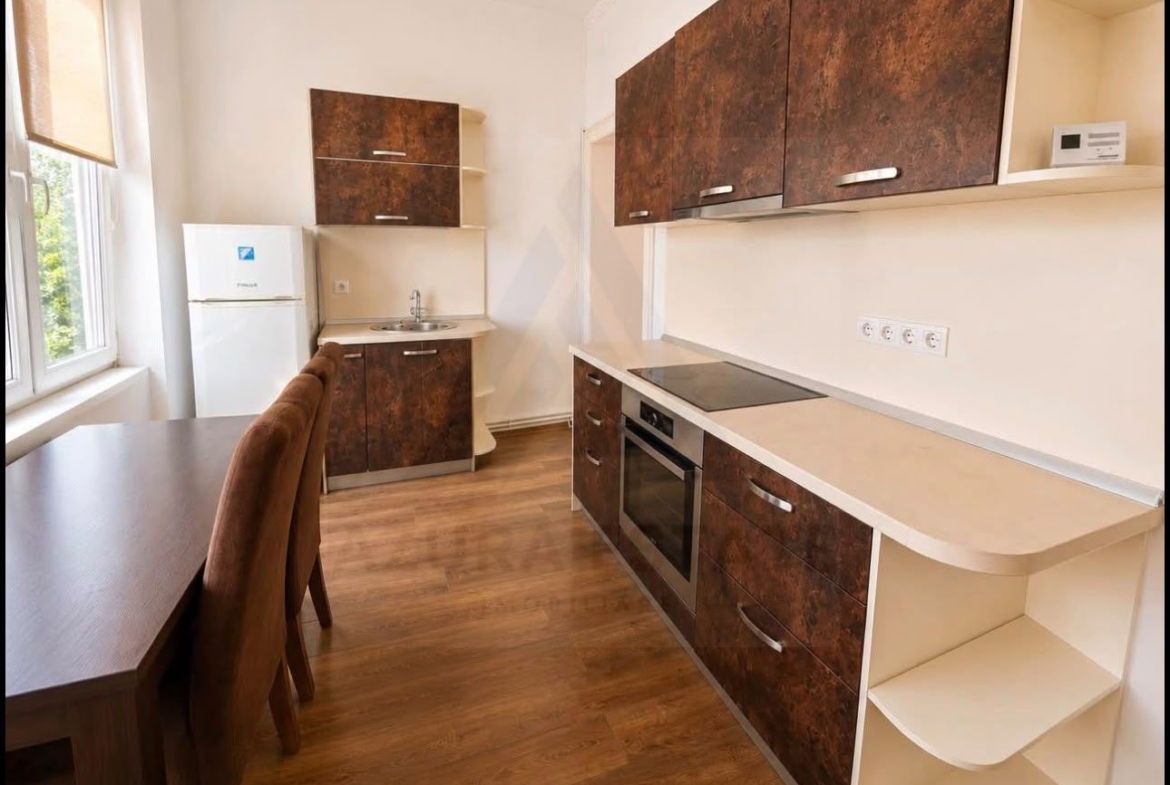 Apartament 2 camere 61 mp utili parter 2 bai 2 pivnite Centrul Istoric - foto 4