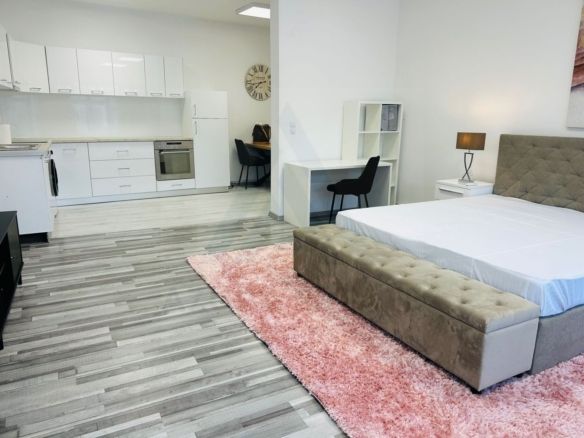 Studio modern  50 mp prima închiriere cu parcare  in zona Centrala - foto 3