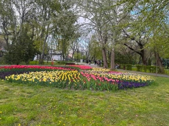 De inchiriat apartament cu 2 camere, etaj 2, Gradina Publica, 400 euro - Imagine principala