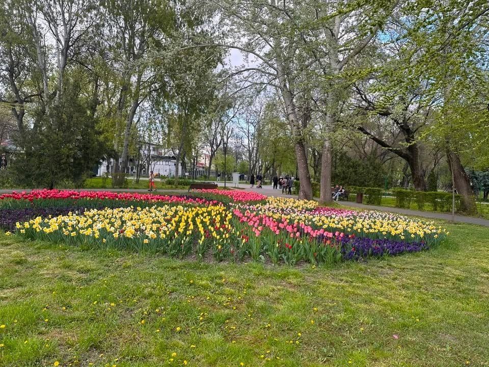 De inchiriat apartament cu 2 camere, etaj 2, Gradina Publica, 400 euro - Imagine principala