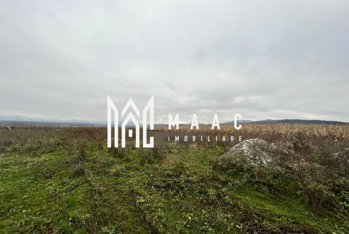 Teren intravilan | 860 mp | Deschidere 16 m | Priveliște montană | Bradu - foto 4