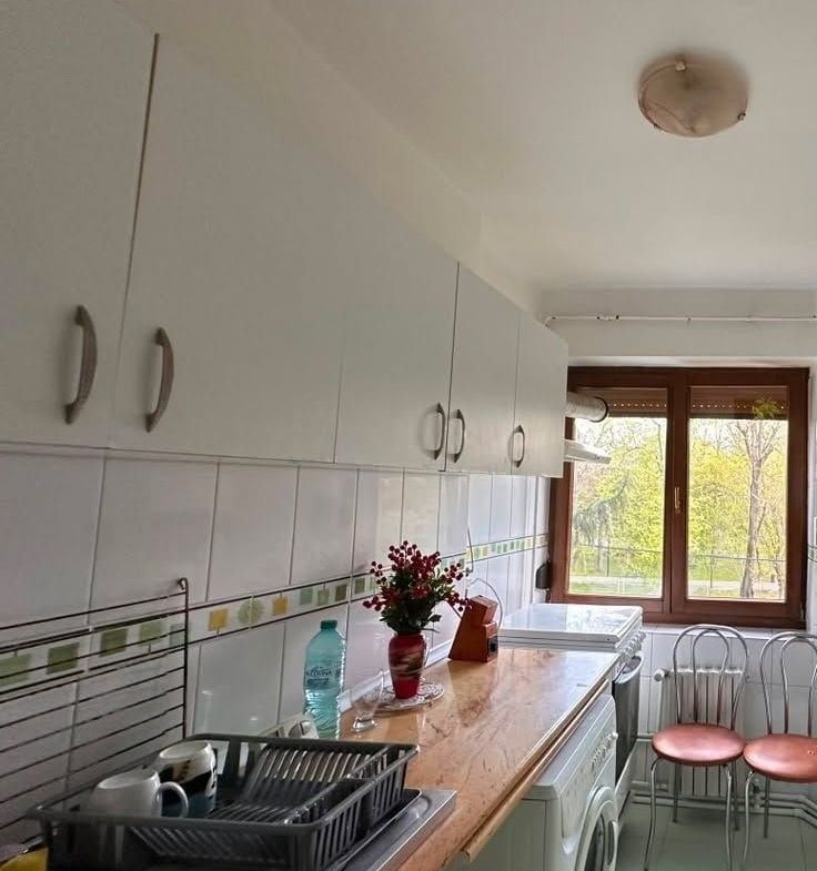 De inchiriat apartament cu 2 camere, etaj 2, Gradina Publica, 400 euro - foto 7