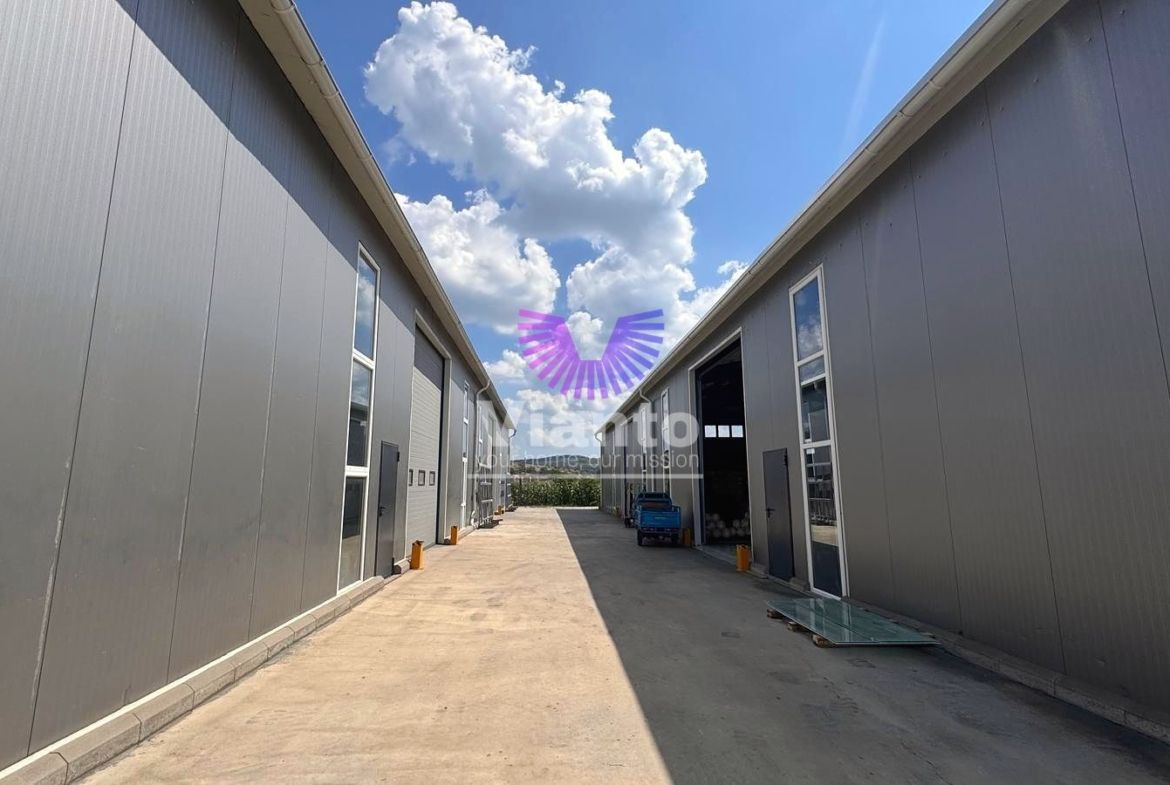 Hala industriala 600 mp si curte libera 700 mp,-  Parcul Industrial Sura Mare - foto 6