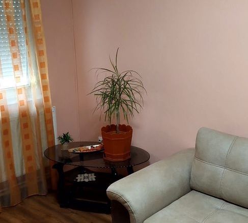De inchiriat apartament 2 camere in micro 17, etaj 3, 350 euro - foto 2