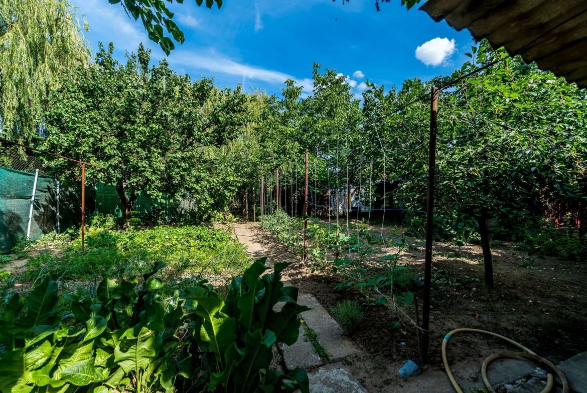 Casa 3 camere, bucatarie si baie, in zona centrala din Chisineu-Cris - foto 8