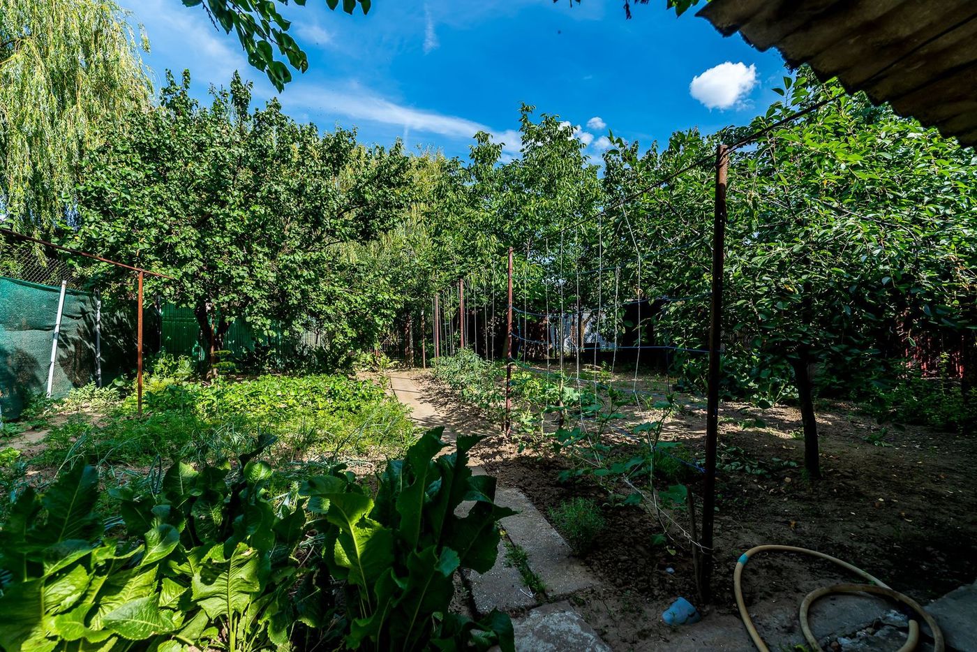 Casa 3 camere, bucatarie si baie, in zona centrala din Chisineu-Cris - foto 8