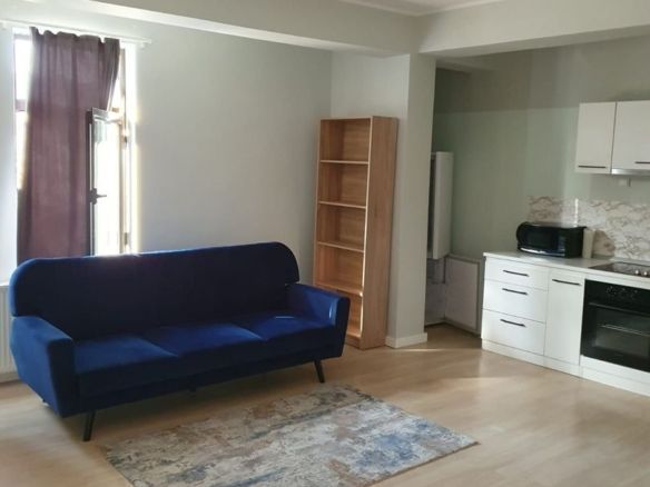De inchiriat apartament cu o camera, centru, etaj 1, 400 E - foto 2